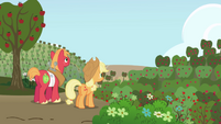 Big McIntosh and Applejack looking at Sweet Apple Acres S01E04