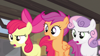 CMC she's serious S2E23