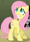 Fluttershy Earth pony ID S2E01
