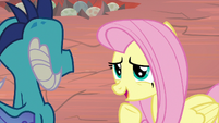 Fluttershy apologizing to Ember S9E9