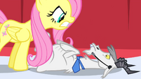 Assertive Fluttershy and a goat.