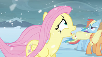 Fluttershy freaking out S3E1