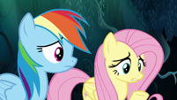 Fluttershy giving advice to Zephyr Breeze S6E11