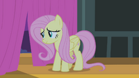 Fluttershy looking out curtains S4E14