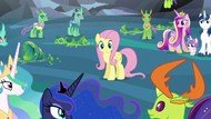 Fluttershy suddenly the center of attention S6E26