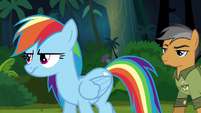 Quibble follows Rainbow through jungle S6E13