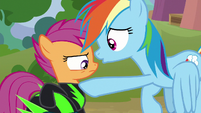 Rainbow Dash "obviously, you do!" S8E20