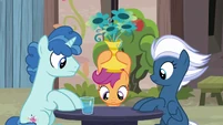 Scootaloo looking for Big Mac under a vase S7E8.png (898 KB)
