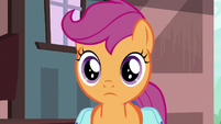 Scootaloo surprised by her friends' decision S9E12