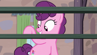 Sugar Belle "I have twice as much room" S7E8