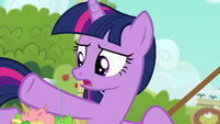 Twilight "following Applejack's list to the letter" S6E10