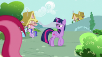 Twilight Sparkle looking for Rarity S7E14