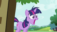 Twilight Sparkle surprised S2E03