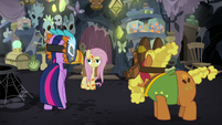 Twilight Sparkle trying to reason with Fluttershy S7E20