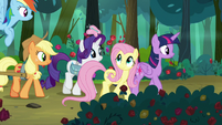 Twilight and friends continue through the forest S8E13