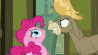 Cranky Doodle furious at Pinkie for ruining scrapbook S2E18