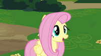 Fluttershy 'We're all ears' S4E10