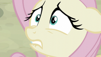 Fluttershy very nervous S5E02