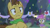 Grand Pear faced with a difficult decision S7E13