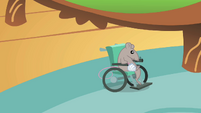 Mouse on a wheelchair S1E22