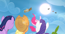 Pinkie Pie throws the care package into the air S3E7