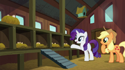 Rarity presents empty chicken coop to Applejack S6E10