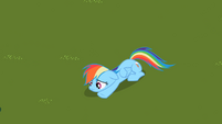 Sad Rainbow Dash on grass S2E8