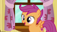 Scootaloo "Ponies without cutie marks!' S6E4