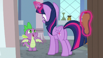 Spike looking embarrassed at Twilight S8E12