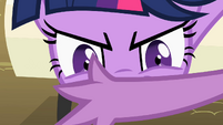 Hey, Twilight. You're still there?