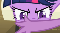 Spike trying to get Twilight Sparkle's attention S2E03