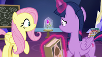 Twilight and Fluttershy look at the flower S9E22