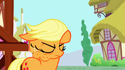 Applejack's hat disappears in one frame when she shaking her head to help Rainbow Dash