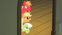 Big McIntosh, Applejack and Granny Smith peering through the doorway S2E06