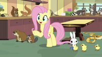 Fluttershy "I already have the perfect solution" S7E5