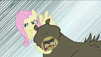 Fluttershy about to break bear's neck S2E03