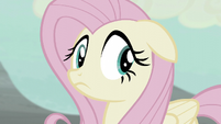 Fluttershy looks around nervously S5E02