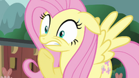 Fluttershy is deeply worried for her critter friends.
