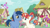 Hearts and Hooves day couples in Ponyville S8E10