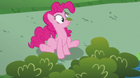 Pinkie Pie with leaf on her nose S5E19