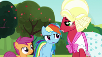 RD "But don't think me and Scootaloo are gonna take it easy on you" S5E17