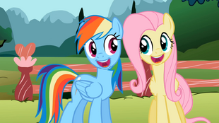 Rainbow and Fluttershy smile S2E07