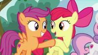 Apple Bloom and Scootaloo hoof-bump S7E21