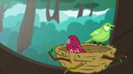 Birds sitting in a nest on a tree branch EGDS10.png