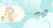 Fluttershy Banner S1E20