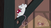 Mouse eating cherry S2E14