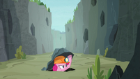 Pinkie Pie pops up under a gorge rock S8E3