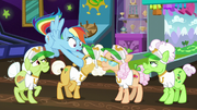 Rainbow Dash relieved the grannies are away S8E5