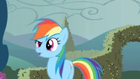 Another shot of Rainbow Dash without wings