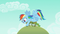 Rainbow says "gotcha!" to Big McIntosh S6E15